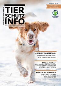 Magazin-Titelseite mit im Text u.a. drei Themen der Ausgabe. Auf dem Foto ein im Schnee laufender Hund.