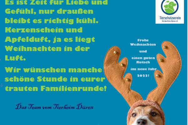 Ein Gedicht, hellgrün gedruckt auf blauem Hintergrund.  Daneben Wünsche für die Feiertage und ein Hund mit Rentiergeweih.
