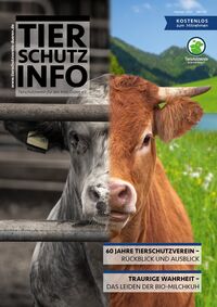 Titel der Tierschutz-Info mit Headlines einiger Themen sowie dem Foto eines Rindes, zur einen Hälfte in Farbe in der Natur, zur anderen Hälfte schwarz-weiß im Stall.
