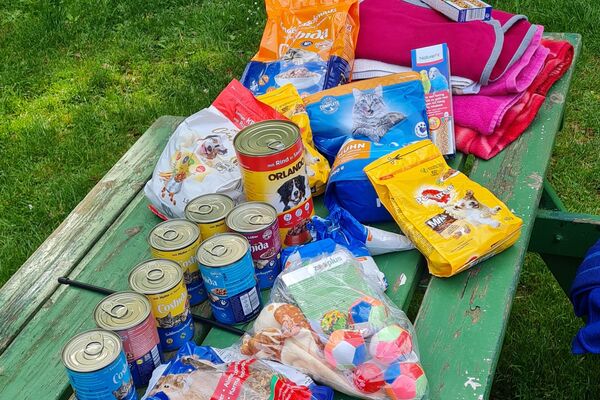 Diverses Tierfutter und Spielzeug liegt draußen ausgebreitet auf einem grünen Picknicktisch.