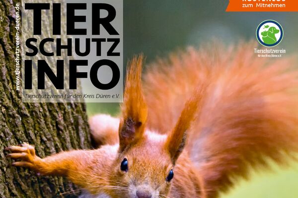 Das Titelbild des Magazins mit Text und dem Foto eines Eichhörnchens.