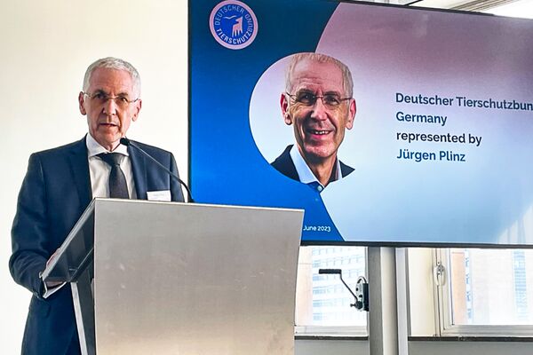 Ein Mann am Rednerpult, hinten ein Monitor mit Foto und Text.