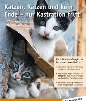 Poster zur aktuellen Kampagne