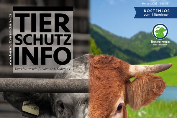 Titel der Tierschutz-Info mit Headlines einiger Themen sowie dem Foto eines Rindes, zur einen Hälfte in Farbe in der Natur, zur anderen Hälfte schwarz-weiß im Stall.