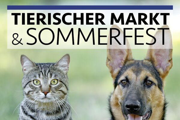 Flyer zum Sommerfest mit den Daten zum Fest als Textaufdruck und dem Foto eines Schäferhundes und einer grau-getigerten Katze die nebeneinander sitzen.