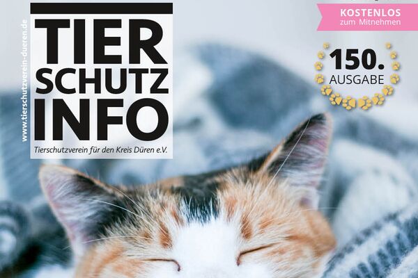 Ein Magazincover in blau-weißen Farben mit Text und dem Foto des Kopfes einer schlafenden Katze.