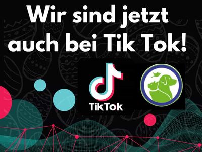 Ein Bild mit bunten Kreisen auf schwarzem Hintergrund, dem Tierheim Logo und weißem Text.