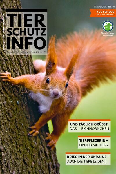 Das Titelbild des Magazins mit Text und dem Foto eines Eichhörnchens.