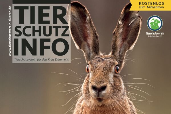 Titelbild der Tierschutz-Info Frühjahr 2023 mit einem großen Hasen
