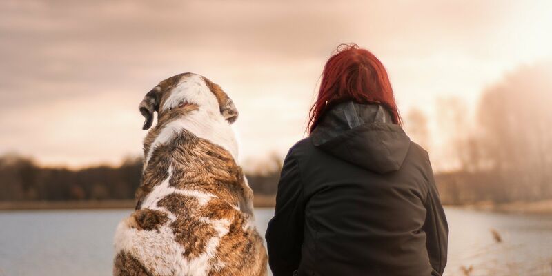 Ein großer Hund und eine Frau sitzen im Gras nebeneinander und schauen auf den Sonnenuntergang.