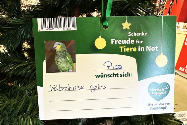 Eine Wunschbaumkarte mit dem Foto eines grünen Vogels und Text.