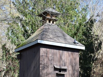Ein Taubenhaus aus dunklem Holz. Auf dem Dach sitzt eine Taube