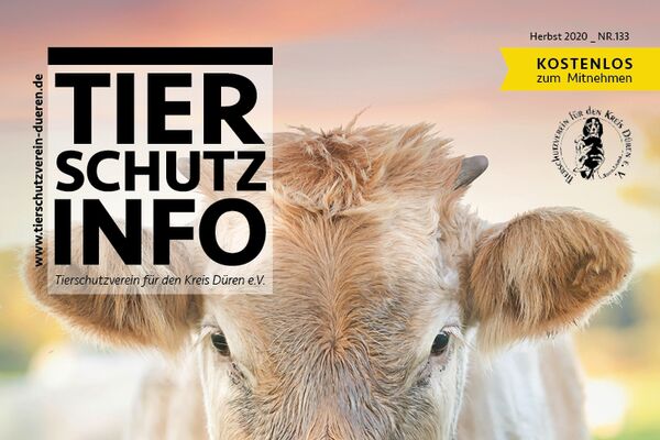 Tierschutz-Info Herbst 2020