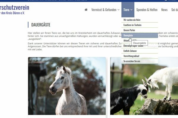 Ein Screenshot der Unterseite "Dauergäste", mit Text, Auswahlmenü sowie dem Foto eines Ponys und eines von zwei Ziegen.