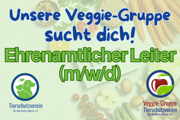 Illustration mit Logos und Text