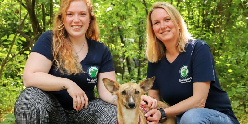Zwei Frauen in blauen Tierheim-Shirts knieen im Wald rechts und links von einem Hund