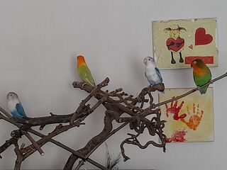 Vier unterschiedliche kleine Vögel auf einem Naturast.