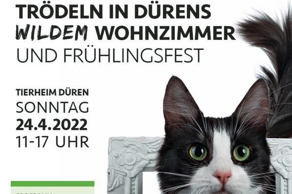 Eine schwarz-weiße Katze steigt durch einen weißen, antiken Bilderrahmen. Als Text die Daten der Veranstaltung. Logos des Vereins und seiner Sponsoren.