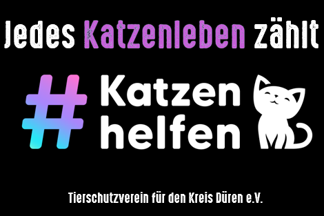 Kampagnentext, Katzenzeichnung und Hashtag-Hinweis in weiß-violett-blau auf schwarzem Hintergrund