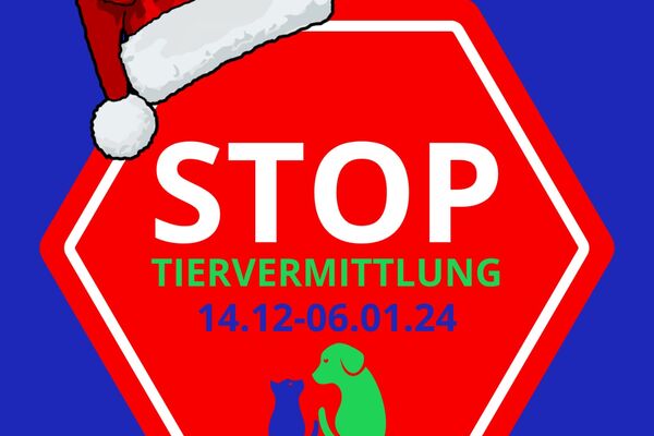 Zeichnung eine Stopschilds mit Weihnachtsmann-Mütze darauf und Text.