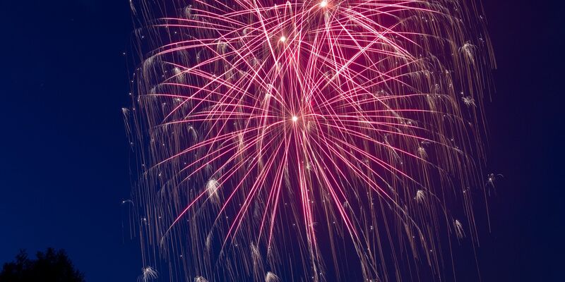 Feuerwerk versetzt Tiere in Angst und Schrecken