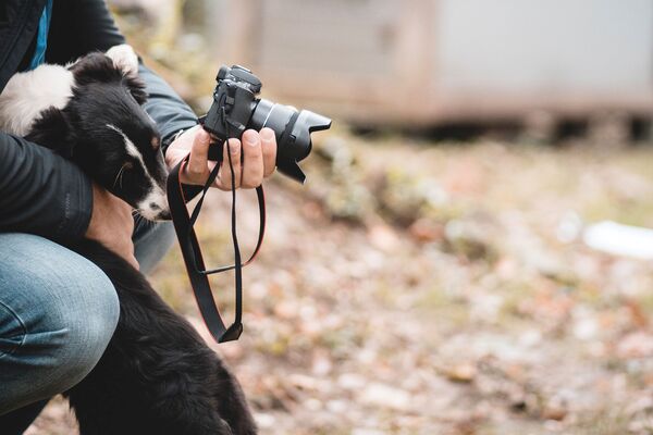 Ein Fotograf spielt mit einem Hundewelpen, der versucht, an die Kamera zu gelangen.