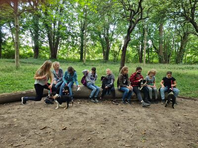 Eine Gruppe Kinder sitzt auf einem Baumstamm und spielt mit einigen Hundewelpen.