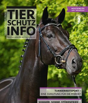Tierschutz-Info Ausgabe Sommer 2018