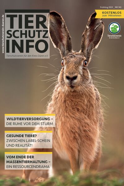 Titelbild der Tierschutz-Info Frühjahr 2023 mit einem großen Hasen