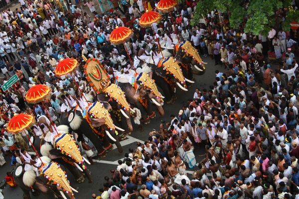 Mehrere geschmückte Elefanten in einer Menschenmenge