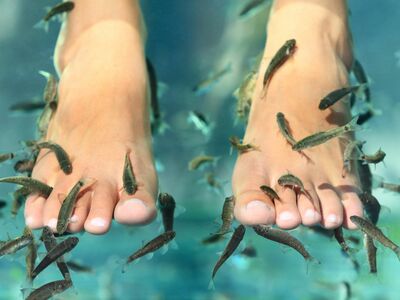 Ein Wasserbassin mit nackten Füßen an denen kleine Fische knabbern.