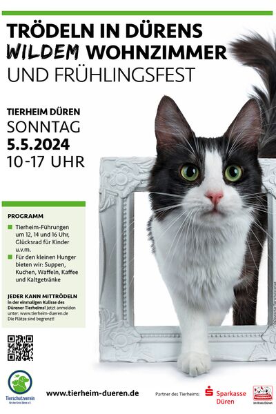 Das Eventplakat mit Foto einer Katze die aus einem alten Bilderrahmen steigt und Aufschrift.