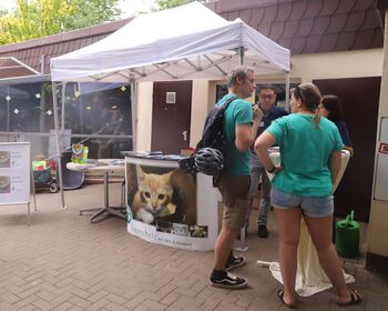 Sommerfest und Tierischer Markt 2023