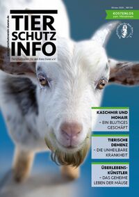 Tierschutz-Info
