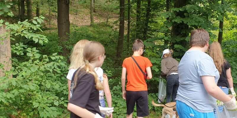 Eine Gruppe Jungen und Mädchen mit Müllbeuteln und Hunden auf einem Waldweg.