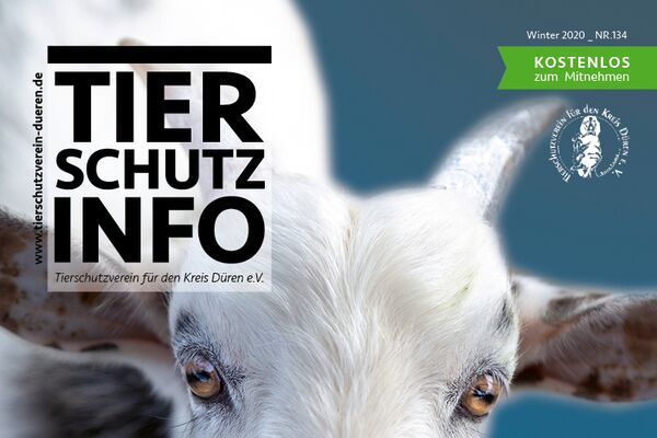 Tierschutz-Info Ausgabe Winter 2020