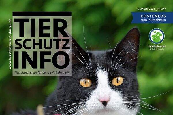 Titel der Tierschutz-Info mit Headlines einiger Themen sowie dem Foto einer schwarz-weißen Katze, die zwischen rosa Blüten sitzt.