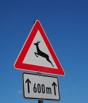 Straßenschild "Wildwechsel"