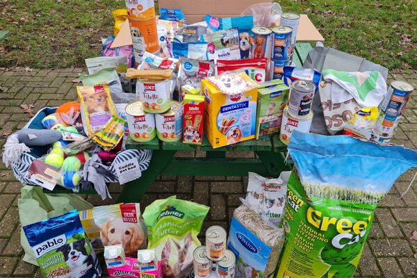 Auf dem großen Picknicktisch mit Bänken im Tierheim stehen Futter und Spielzeug.